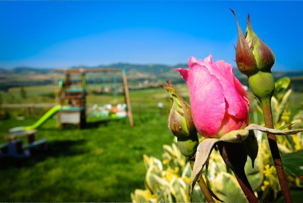 Agriturismo Il Canterino グアルディスタッロ エクステリア 写真