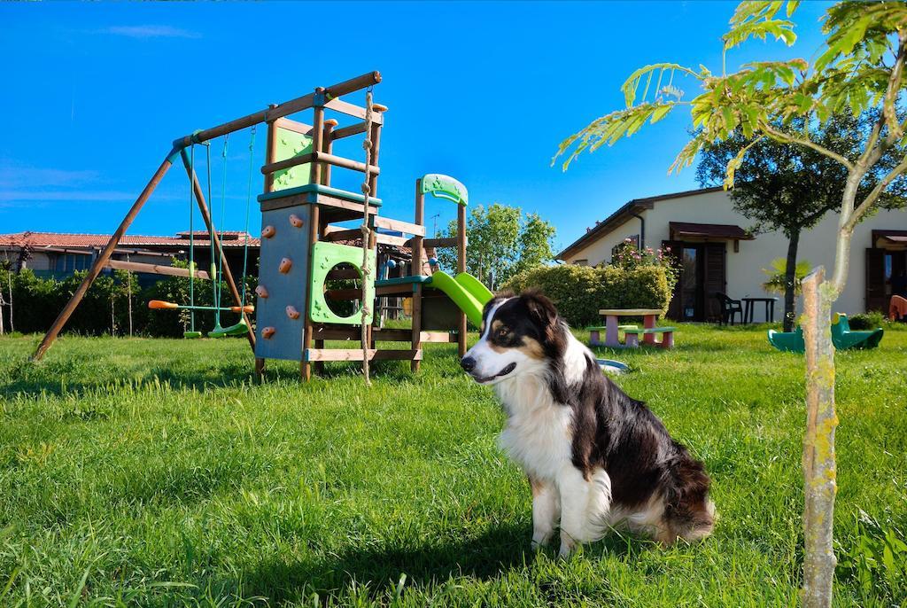 Agriturismo Il Canterino グアルディスタッロ エクステリア 写真