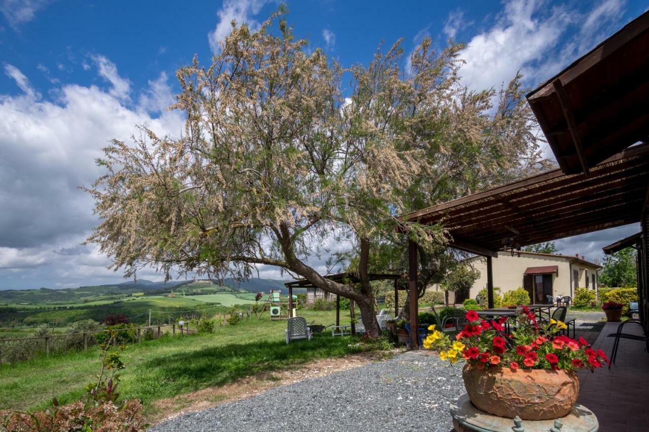 Agriturismo Il Canterino グアルディスタッロ エクステリア 写真