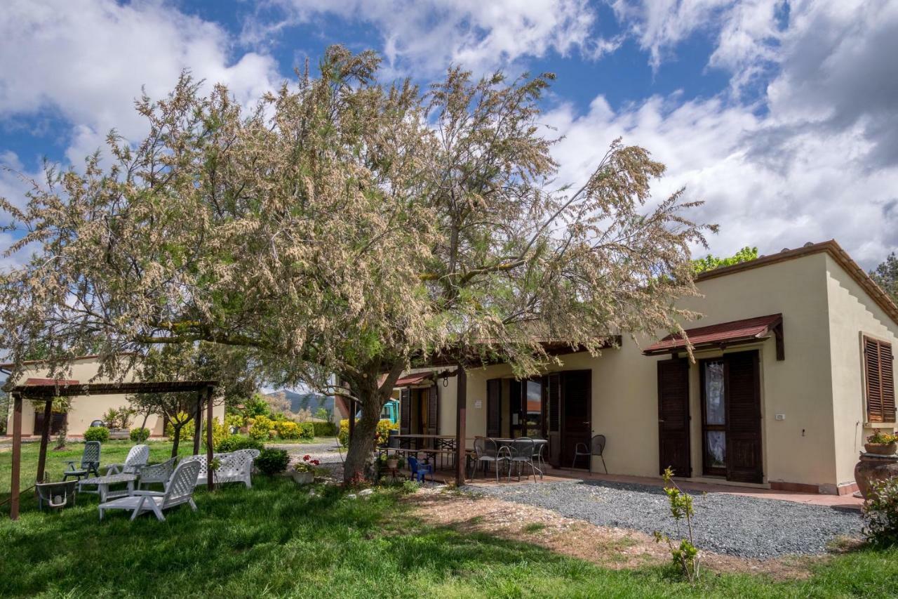 Agriturismo Il Canterino グアルディスタッロ エクステリア 写真