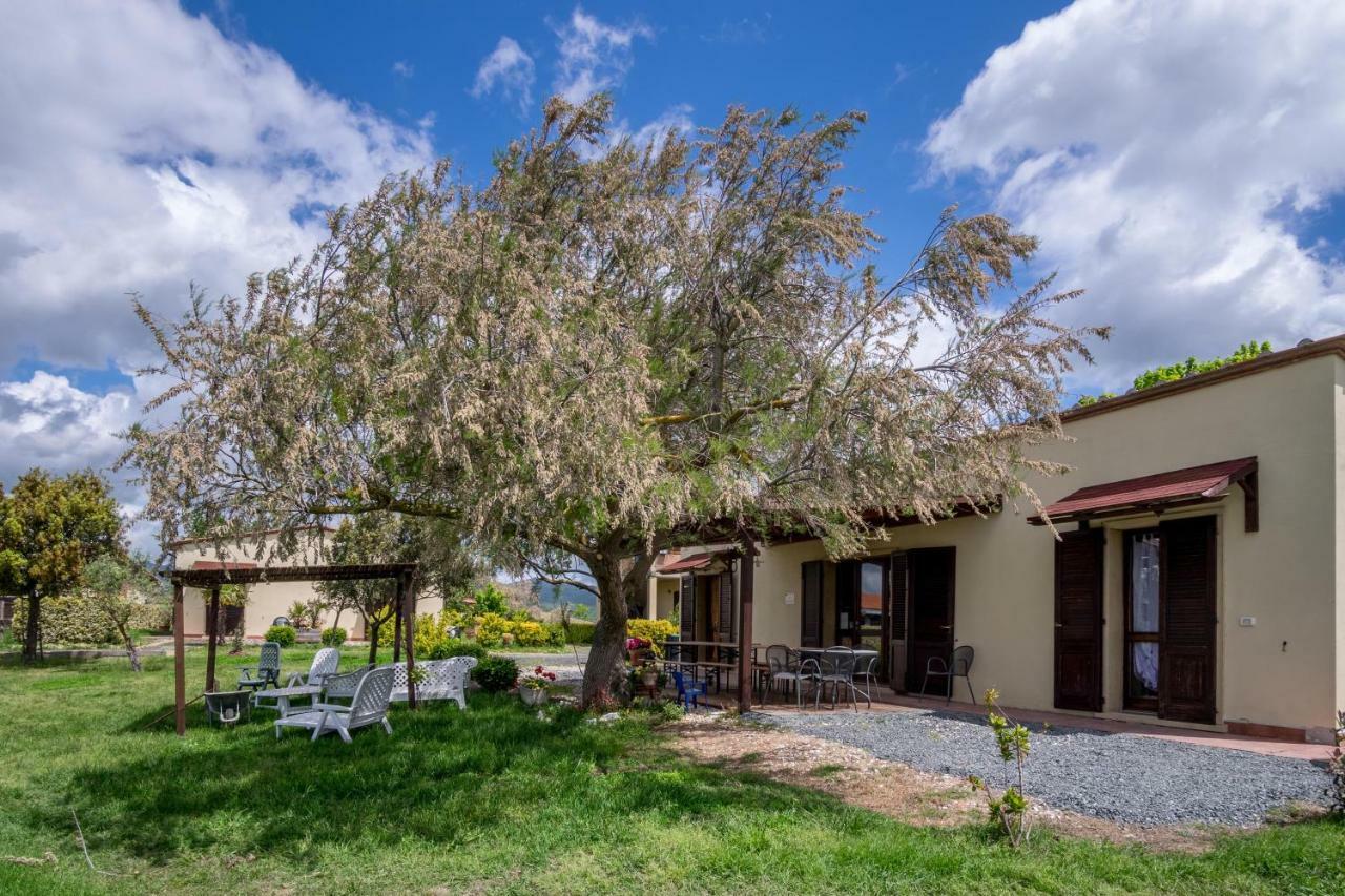 Agriturismo Il Canterino グアルディスタッロ エクステリア 写真